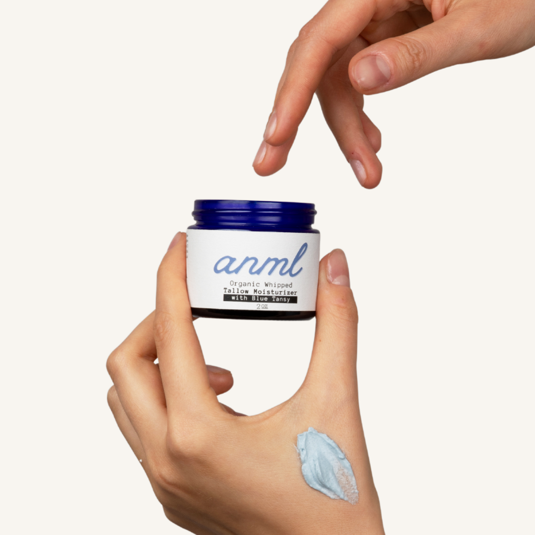 Organic Whipped Tallow Moisturizer with Blue Tansy