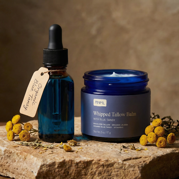Blue Tansy Oil for Skin: Benefits and Uses